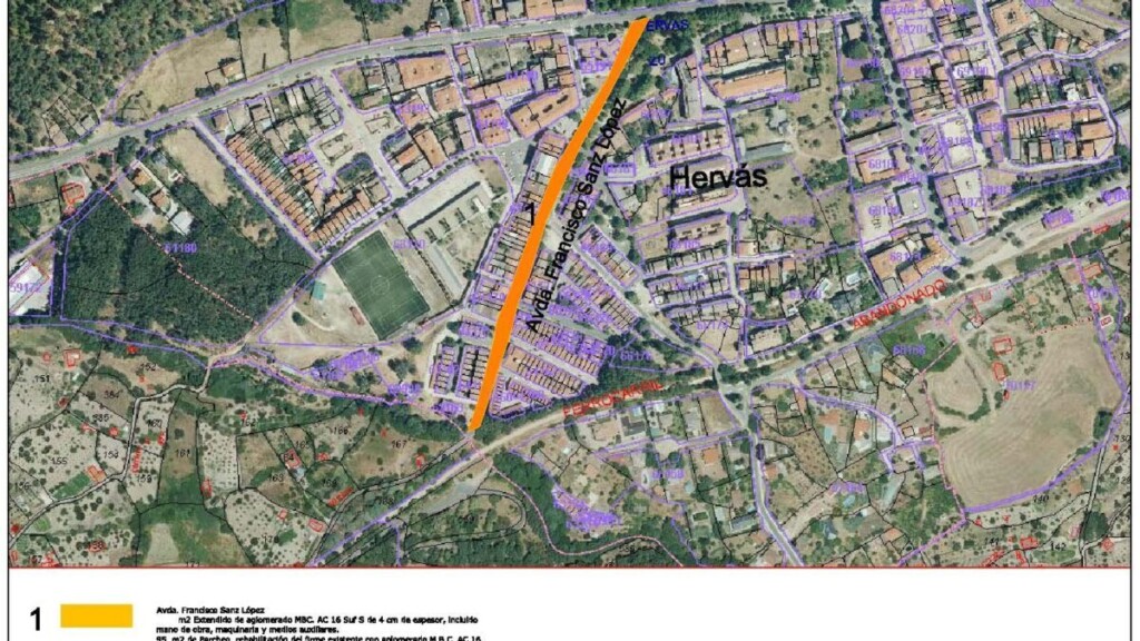 335918036 618212593451388 5210480148958714089 n