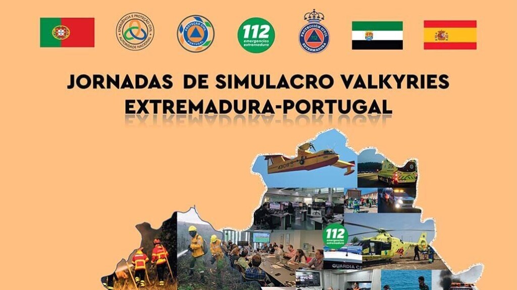cartel simulacro web