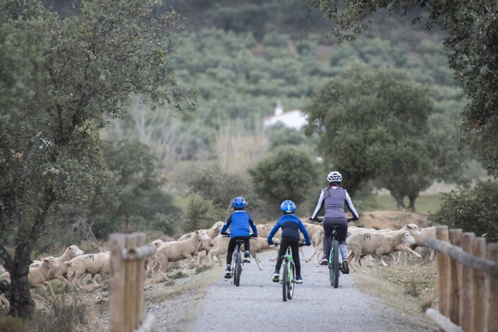 JAYONA 30 © Turismo de Extremadura BAJA scaled 1