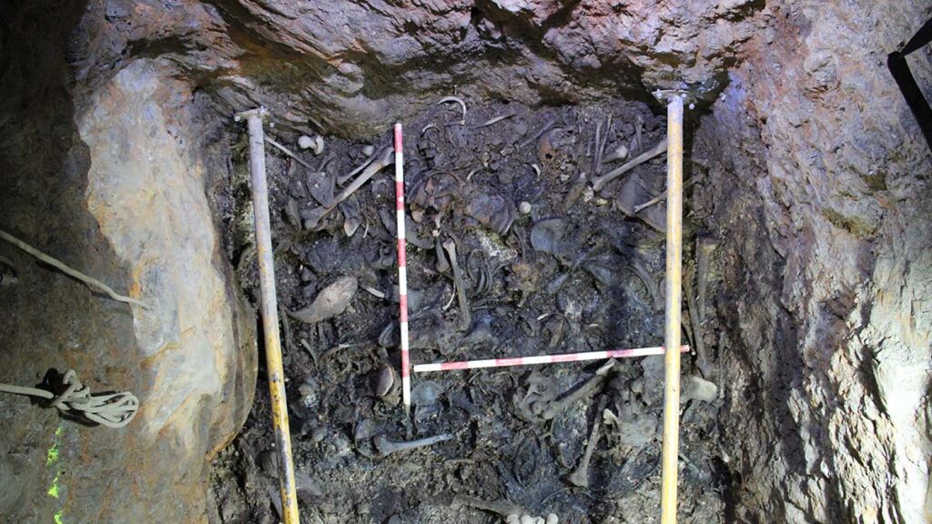 Siete de los 49 cuerpos exhumados de la Mina Terría han podido ser ya identificados tras las pruebas de ADN IMG 0113