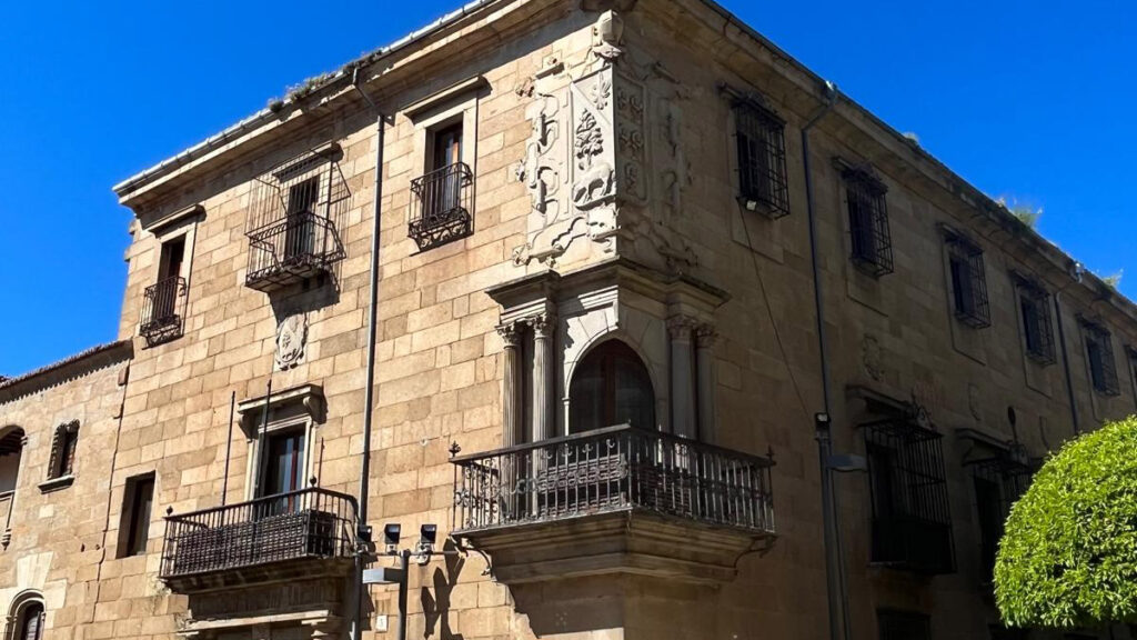 WhatsApp Image 2025 05 04 at 11.31.26