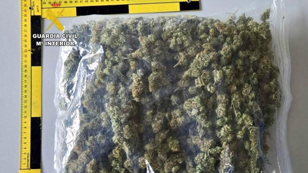 WhatsApp Image 2025 05 05 at 10.51.24