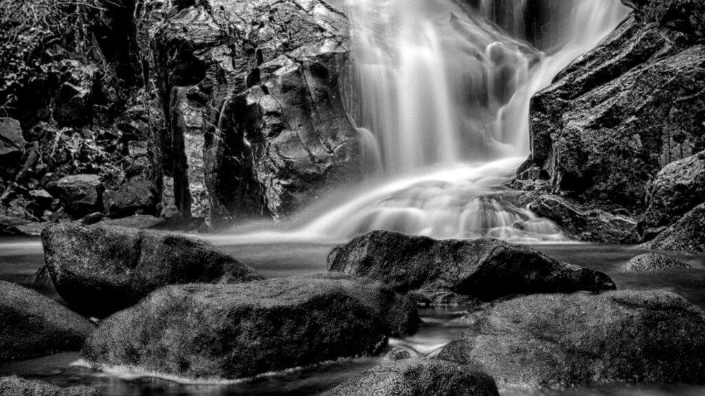 08 C AOJ 020 NGGDSCF8723 20231022 104002 HDR 2 Fotor