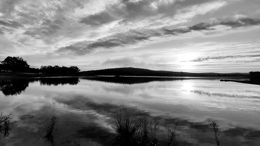 12 C NMS 012 NGG 20220219 114608 rec