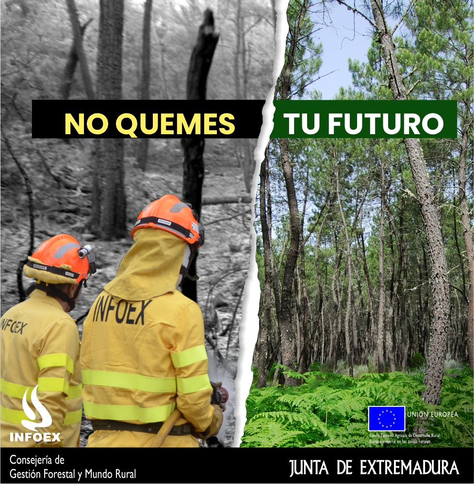 Campaña Infoex No quemes tu futuro