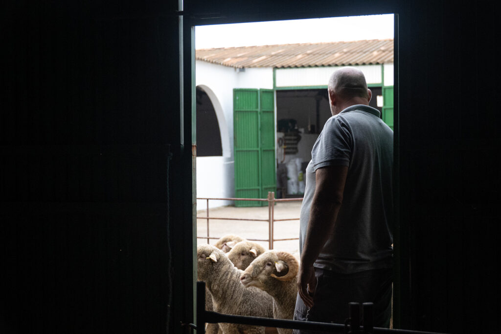 Escuela Pastores Tajo-Salor-Almonte (2)
