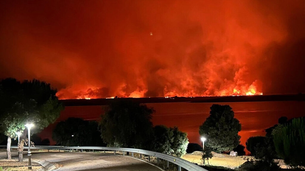 Incendio Campo Lugar