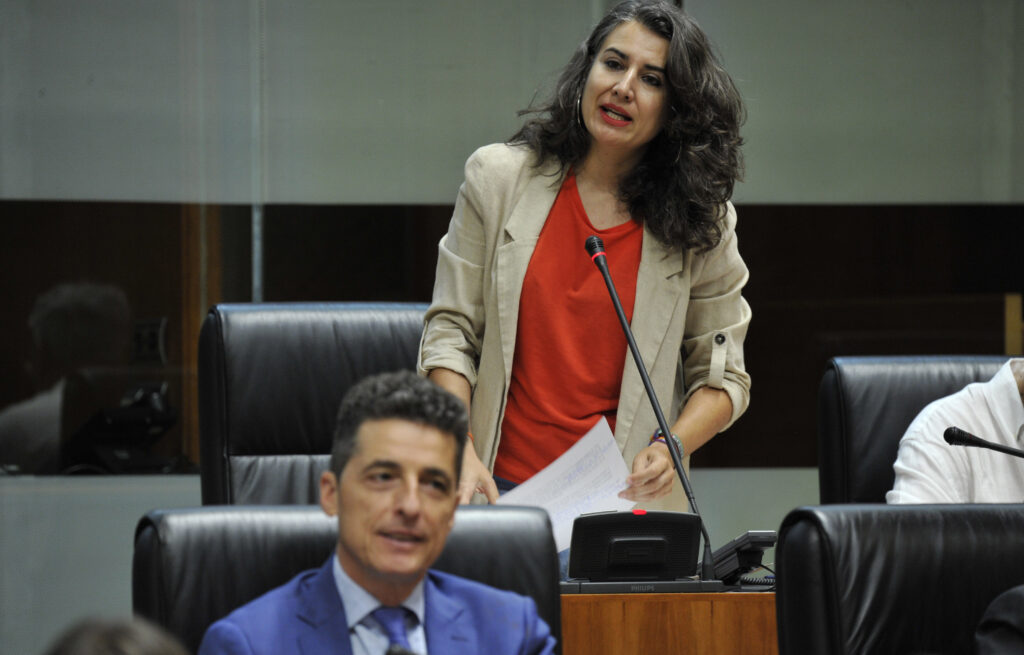 Irene de miguel
