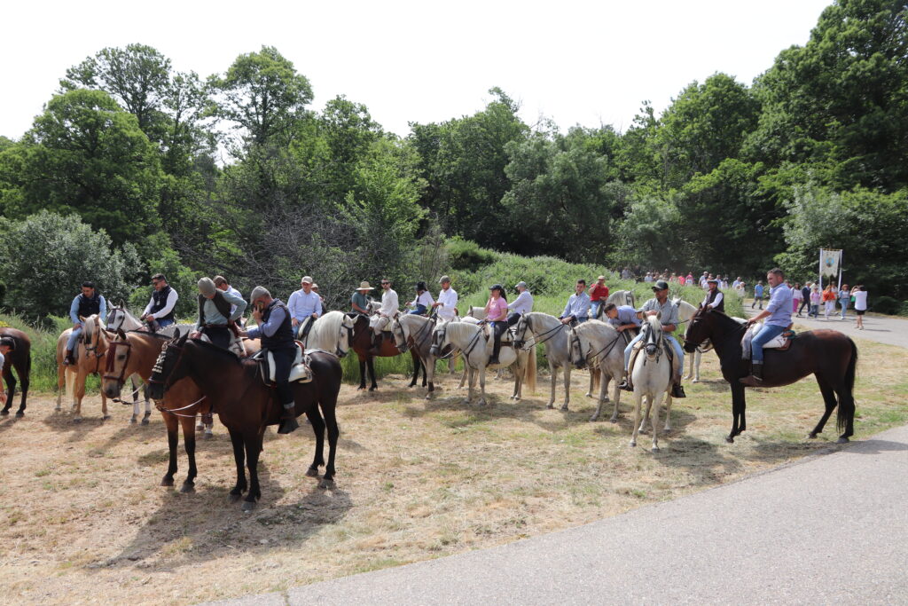 Romería La Gaarganta 13