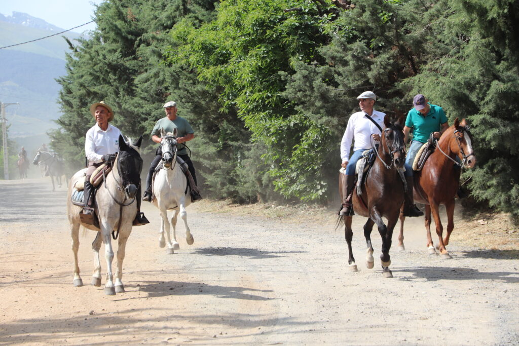 Romería La Gaarganta 3