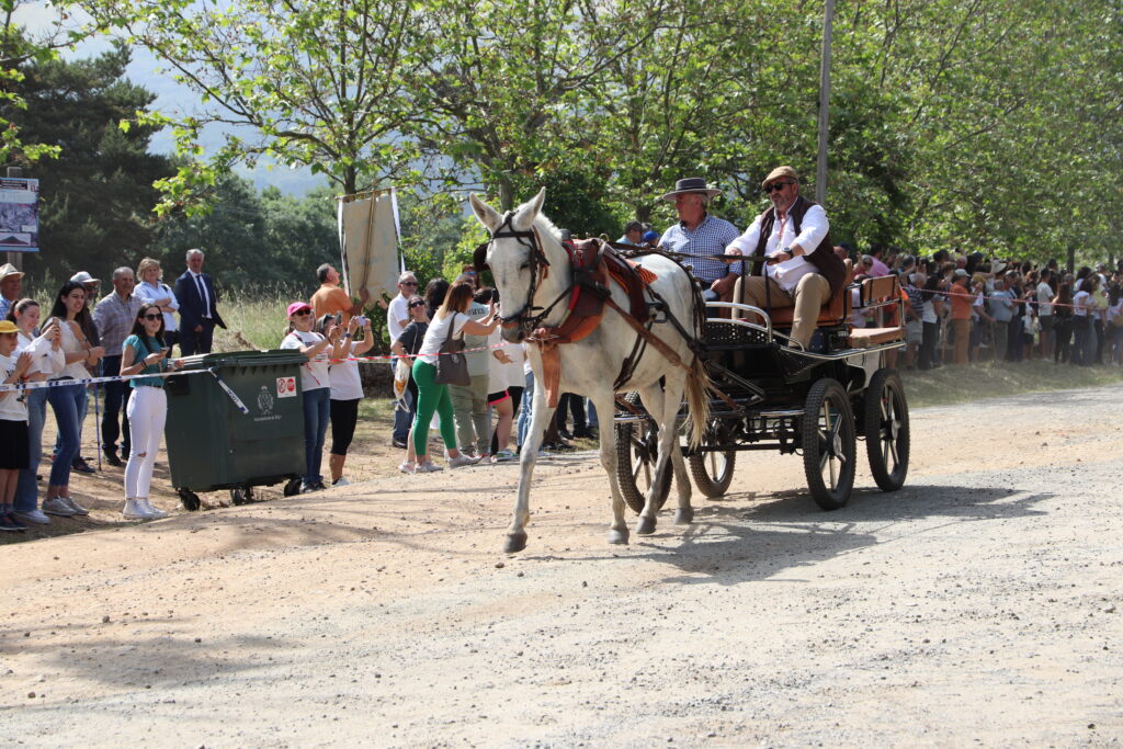 Romería La Gaarganta 4