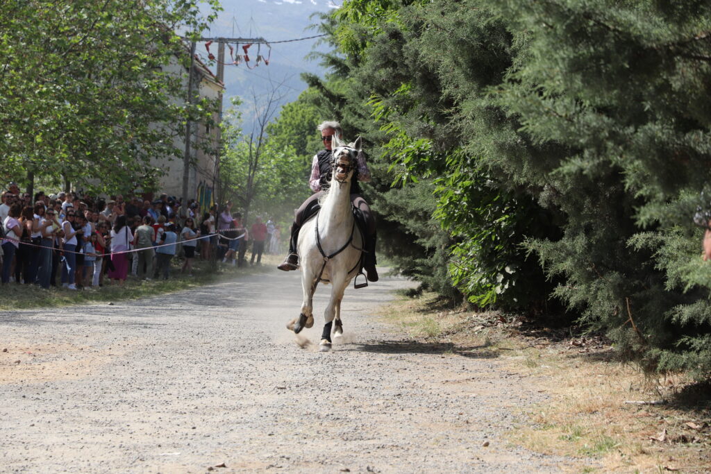 Romería La Gaarganta 5