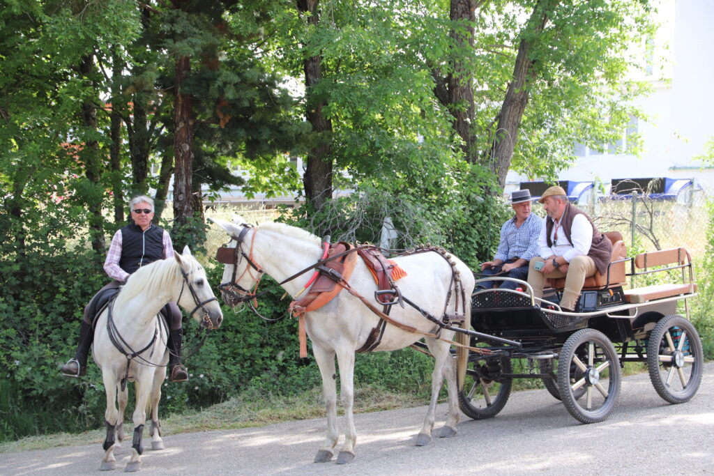 Romería La Gaarganta 6