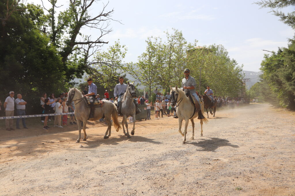 Romería La Gaarganta 7
