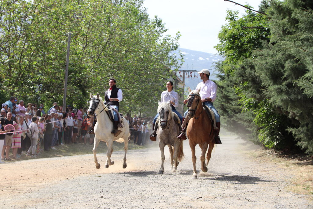 Romería La Gaarganta 8