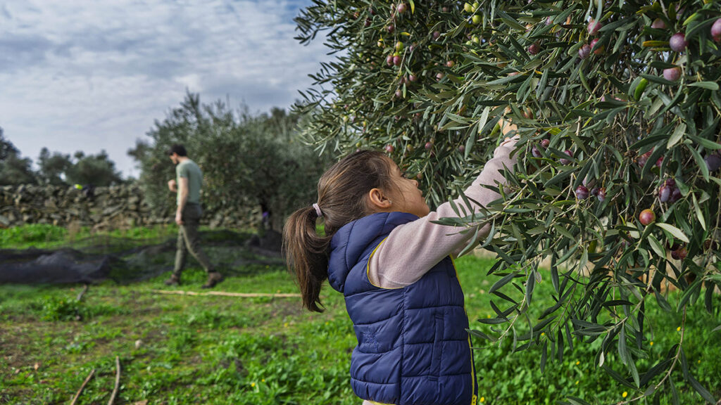 web Cáceres Montanchez _CCA1572