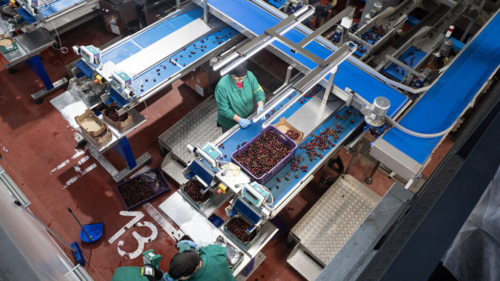 Morales Valle del Jerte 4