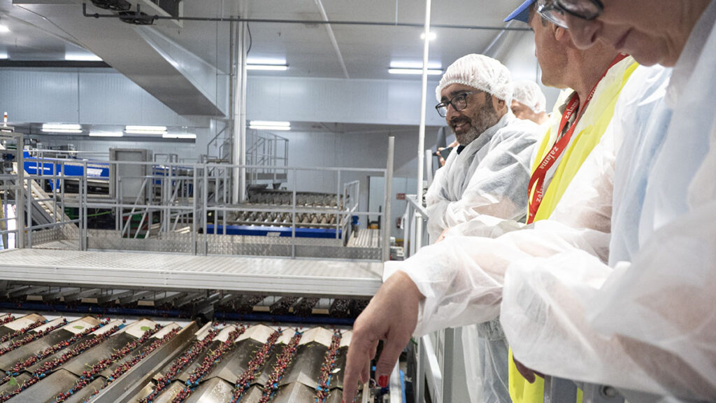 Morales Valle del Jerte 5