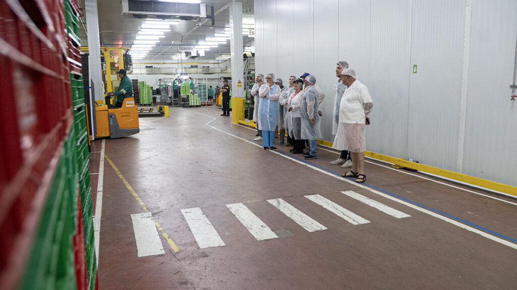 Morales Valle del Jerte 7