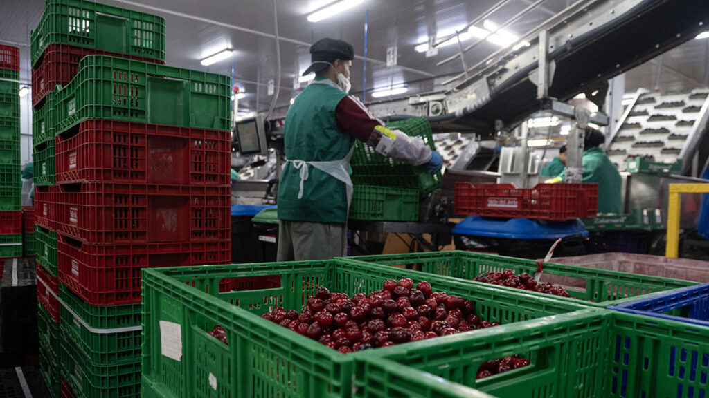 Morales Valle del Jerte 8