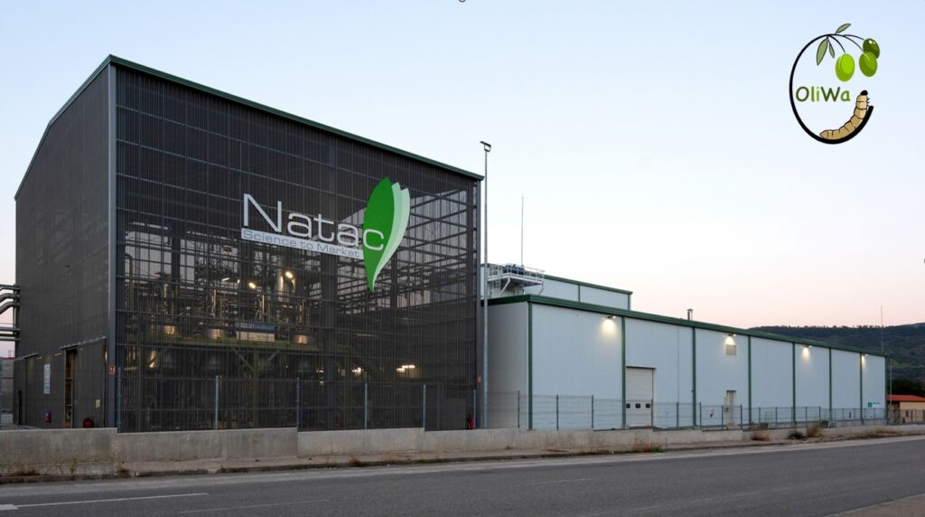 La empresa Natac, en Hervás, parte del proyecto europeo OLIWA para reutilizar la biomasa del olivo Natac_proyecto OLIWA