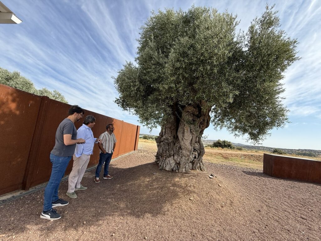 Visita Berrocalejo (3)