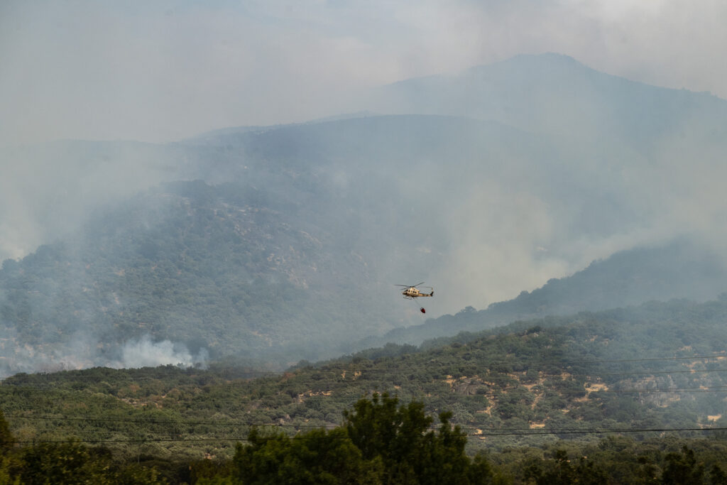 54719013994_2e49f60297_o