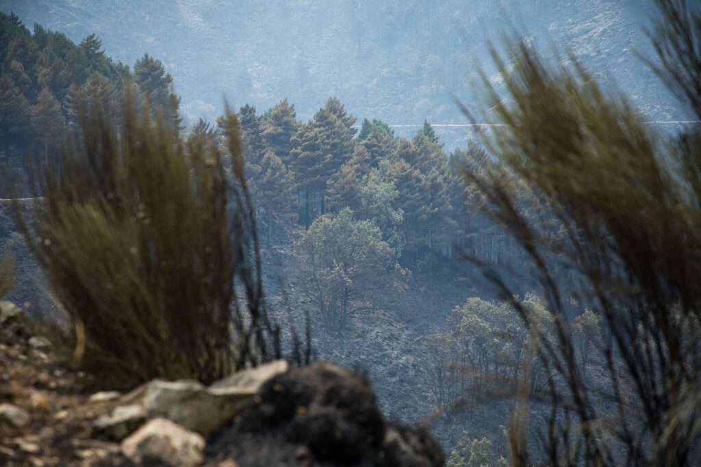 54728078032_6e07f9f3a0_o