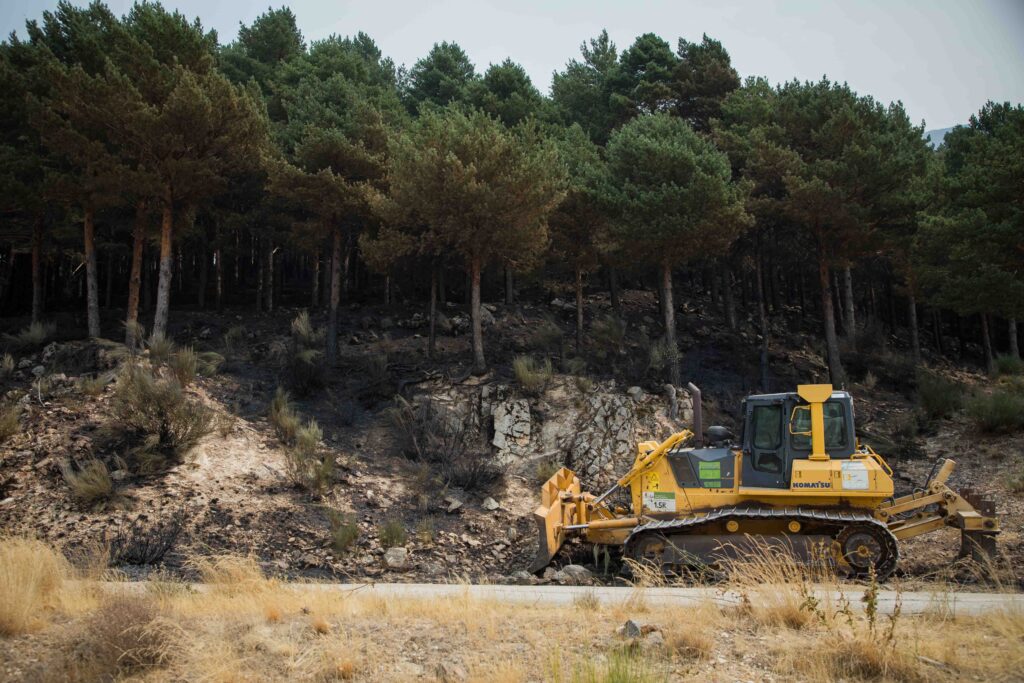 54728911846_cec8572e8c_o