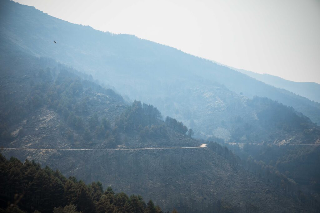 54729121068_88b719e175_o