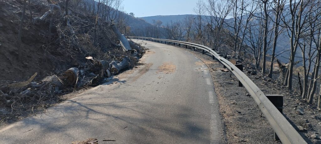 Puerto de Honduras 2