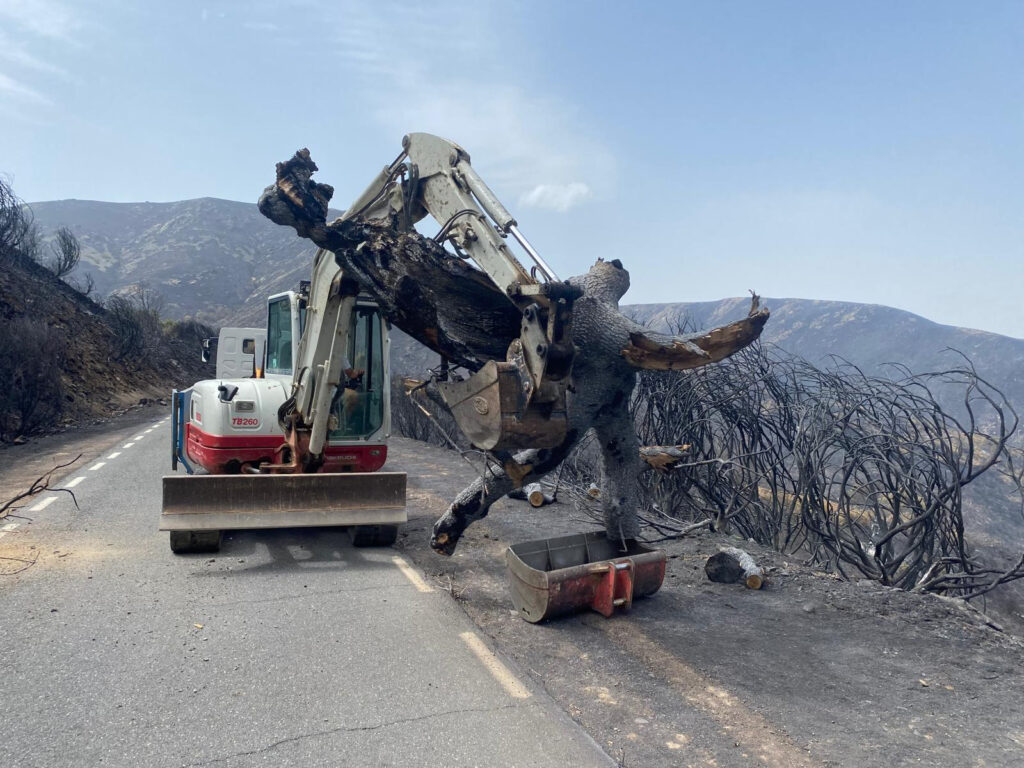 Puerto de Honduras 4