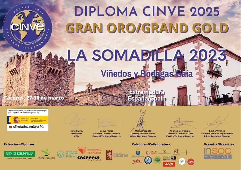 WhatsApp Image 2025-07-21 at 13.16.14