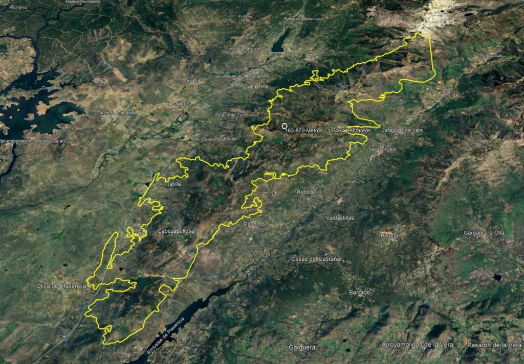 WhatsApp Image 2025-08-18 at 19.05.42