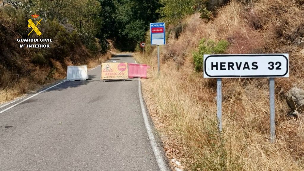 WhatsApp Image 2025-08-23 at 10.50.10