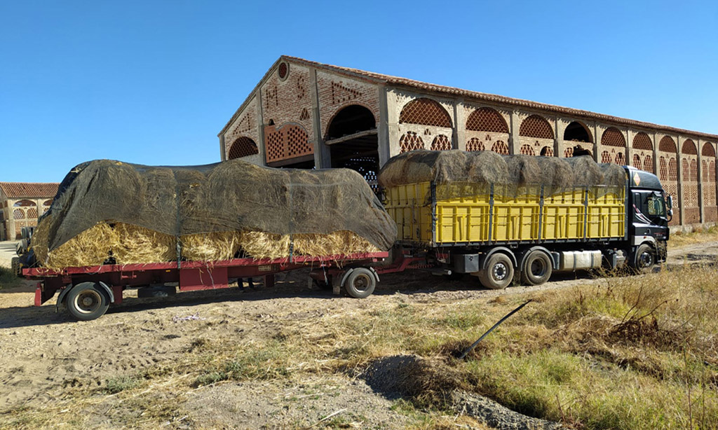 La Diputación de Cáceres comienza a repartir pacas de heno para los ganaderos de los municipios afectados por los incendios foto-2 a