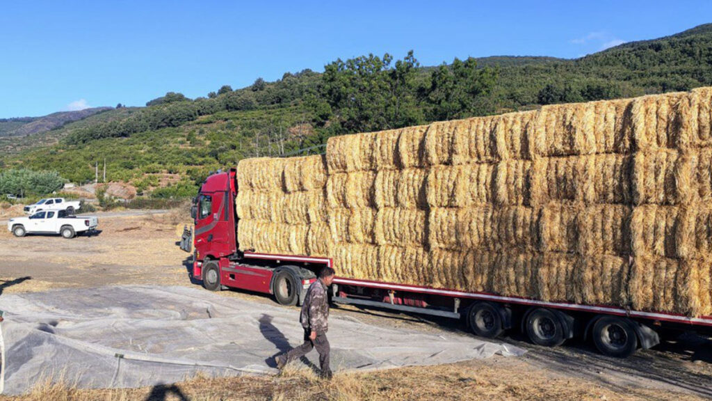 Cabezuela del Valle (3)
