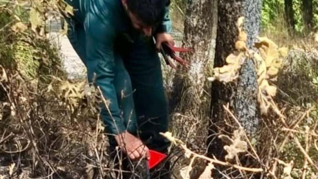 Incendio Guardia Civil 1