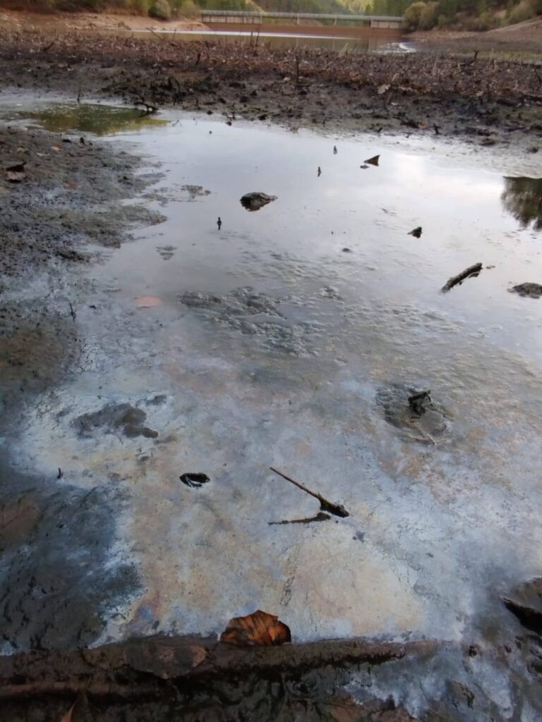 567668355_1234526382045676_6832646256415793880_n