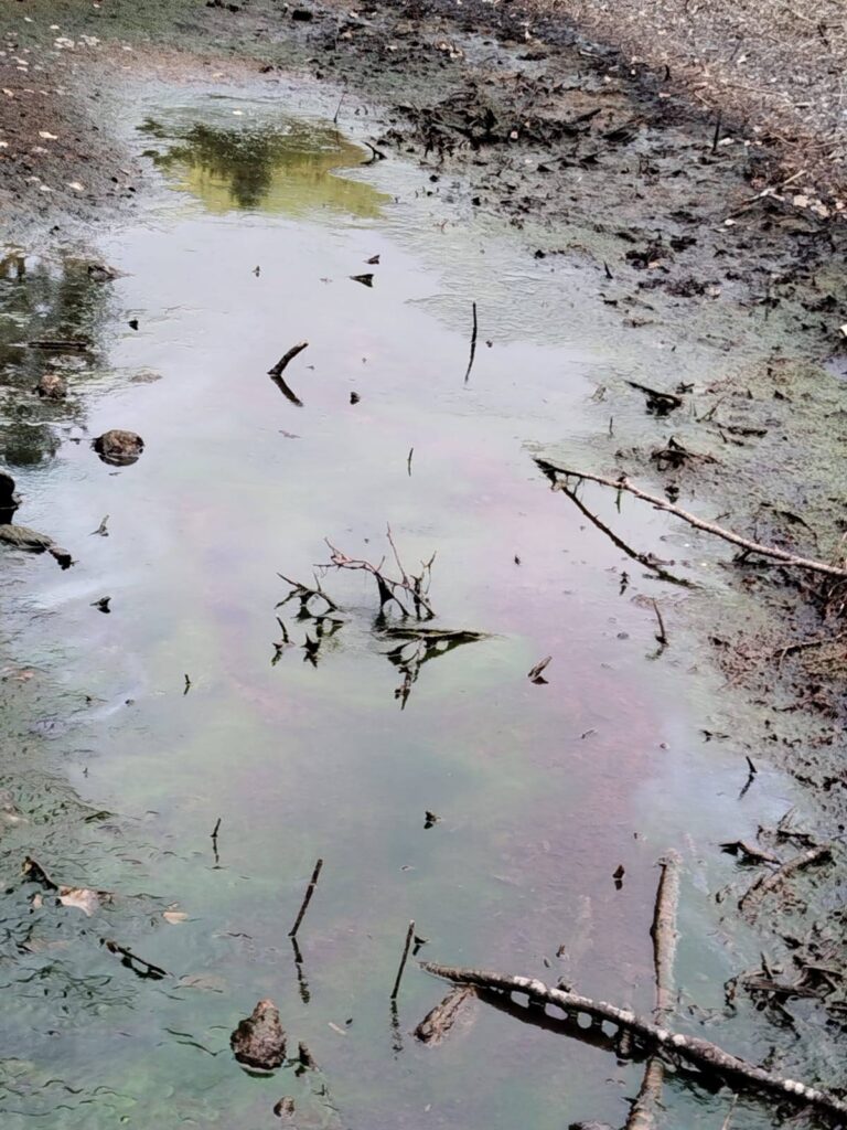 568232129_1234526425379005_7896991478033143221_n