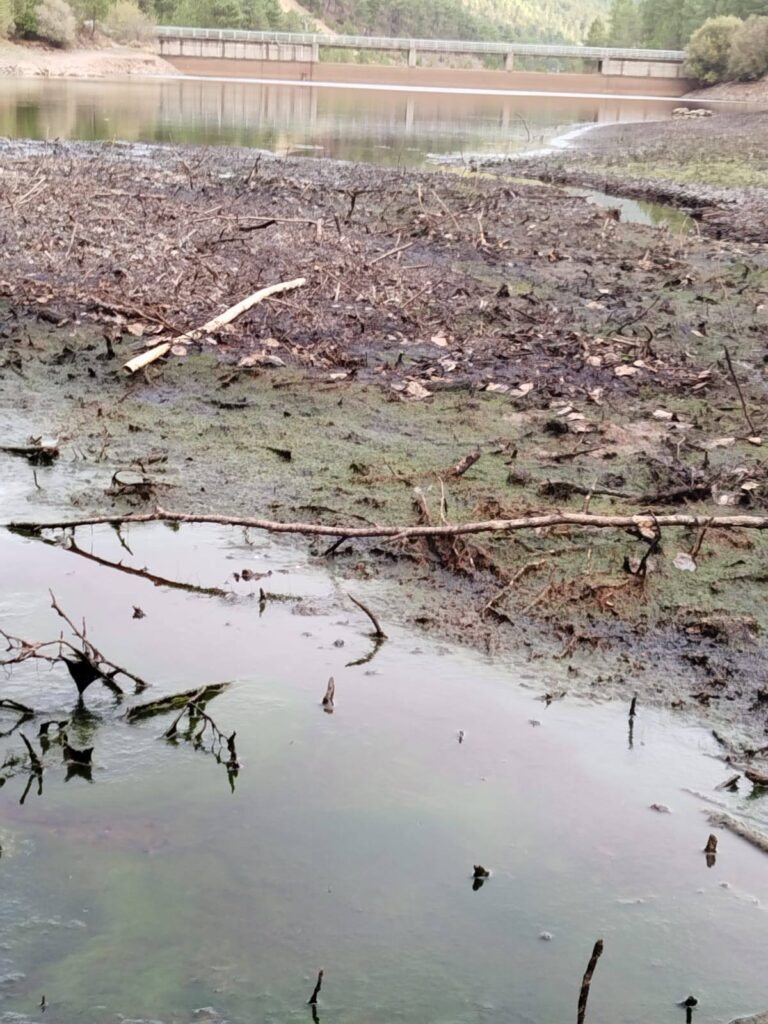 568268194_1234526462045668_2302319931223392539_n