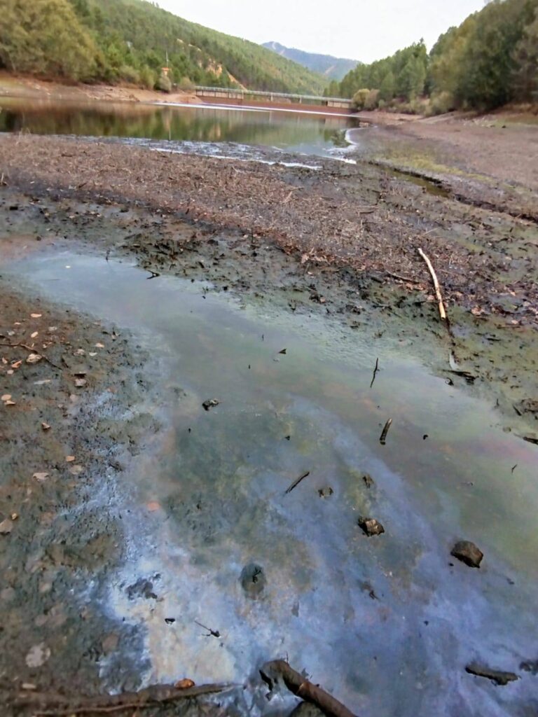 568270876_1234526342045680_5087403185808508960_n