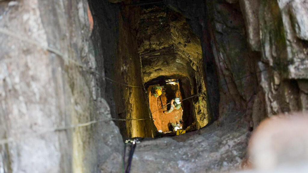 La Paloma Gallardo 1