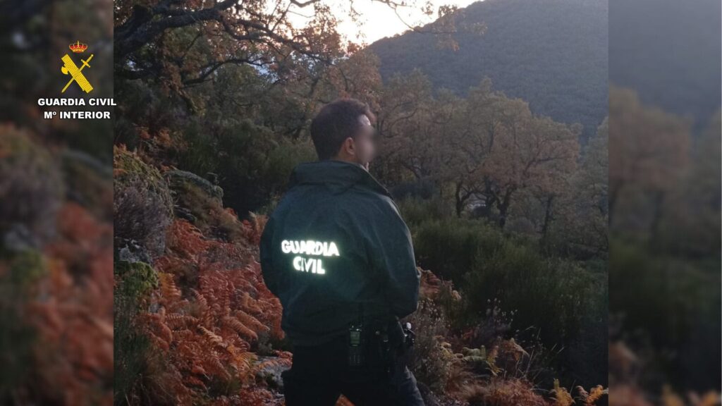 WhatsApp Image 2025-10-26 at 18.44.43