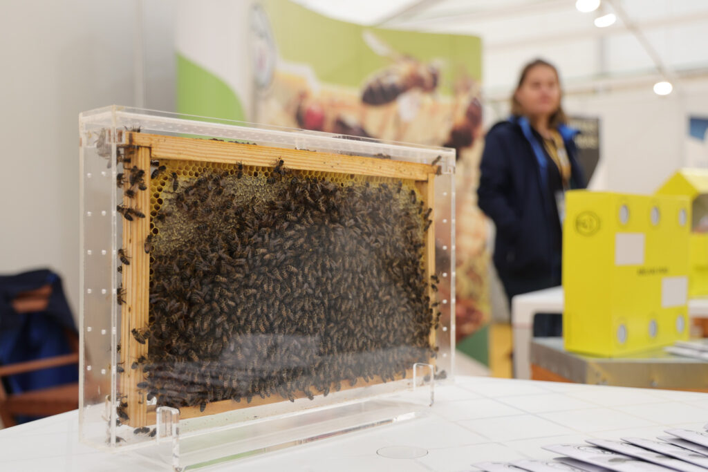 576469270_1136104512035857_6651611058273659532_n