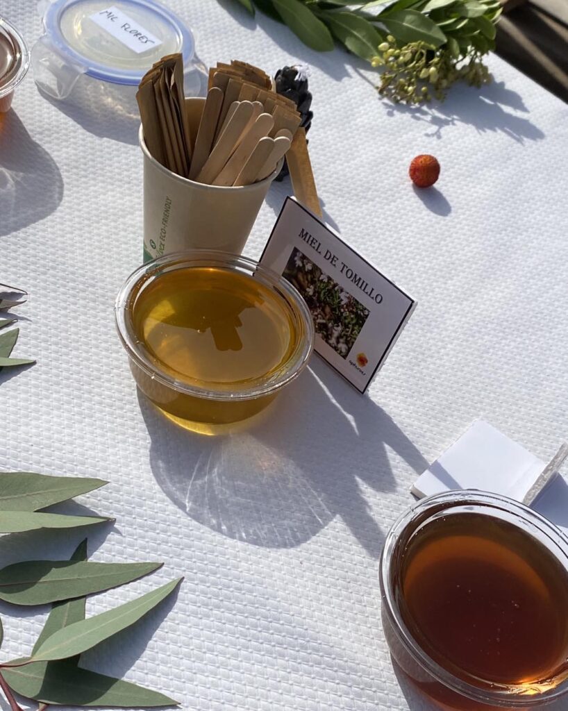 576995489_1137493881896920_3239683743088491097_n