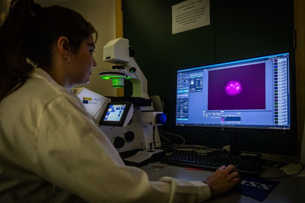 photo_2025-11-04_08-11-54