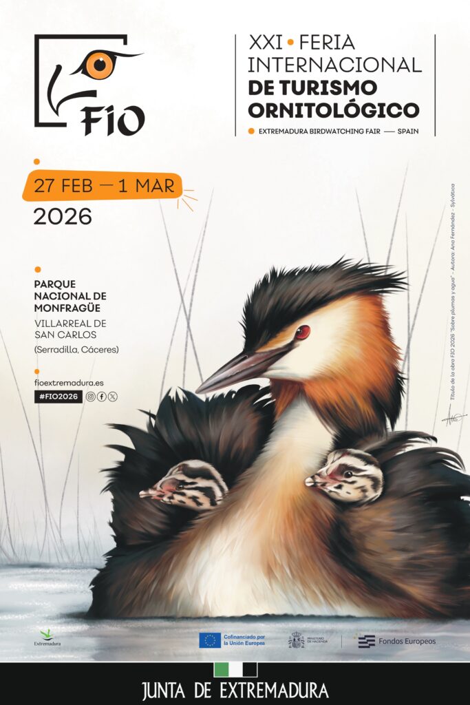 20251218 Cartel FIO 2026