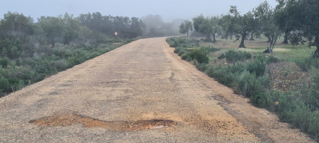 20260126 NP Mundo rural-Castilblanco Camino Talavera
