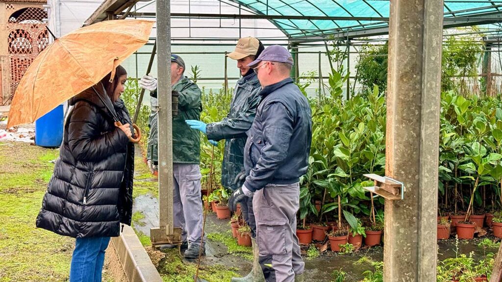 6032978765438192670 (00000002)